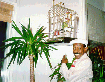 Bird